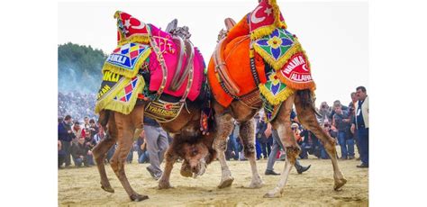 Turkish Culture | Turkish Festivals | Festivals in Turkey