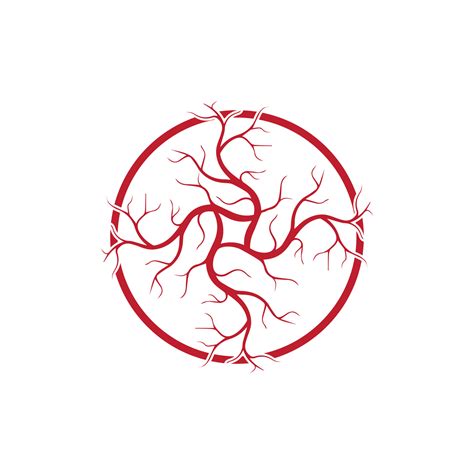 human veins, red blood vessels design and arteries Vector illustration ...