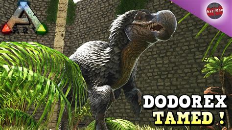 TAMING A DODOREX | RAGNAROK | ARK SURVIVAL EVOLVED - YouTube