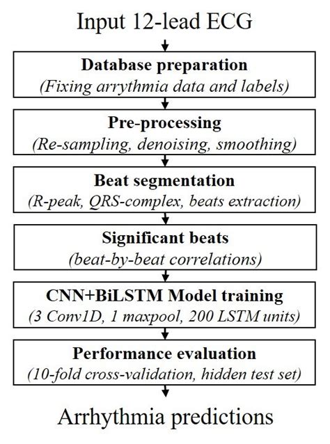 The complete procedure followed in 12-lead ECG arrhythmia prediction. | Download Scientific Diagram