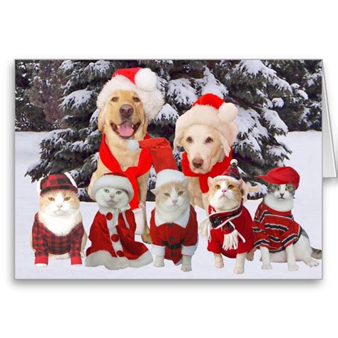 Customizable Funny Pets Christmas Card | Pet holiday cards, Dog ...