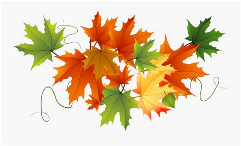 Falling Leaves Clipart Png - Transparent Background Fall Leaves Clipart , Free Transparent ...