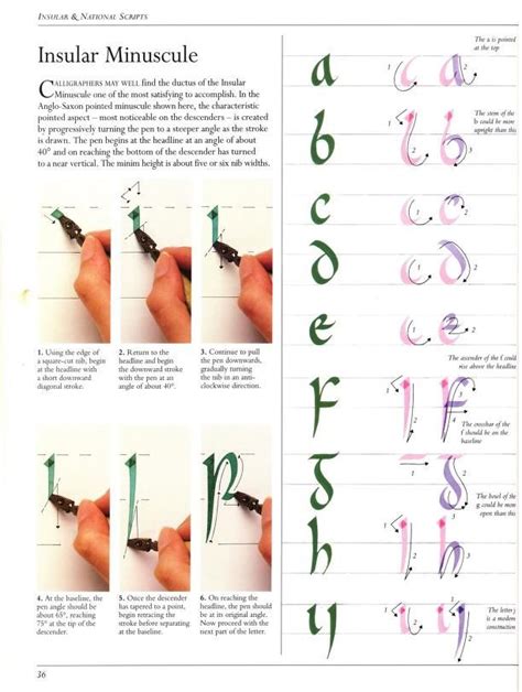 Pin by Lisa Sutton on calligraphy mastery of the basics | Calligraphy alphabet, Lettering ...