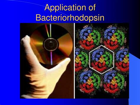 PPT - Bacteriorhodopsin PowerPoint Presentation, free download - ID:3524490