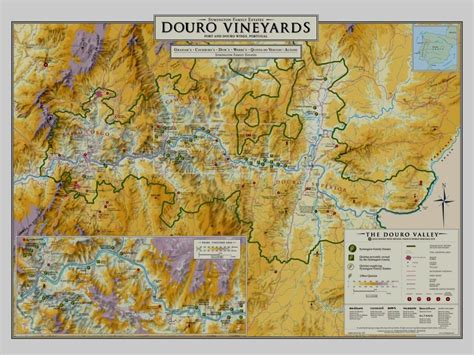 Great map of Douro wine region Douro Valley, Wine Region, Vineyard, Vintage World Maps, Portugal ...