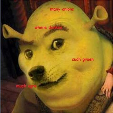 Shrek Doge | Doge Meme Dog Memes | Pinterest | Doge, Doge meme and ...