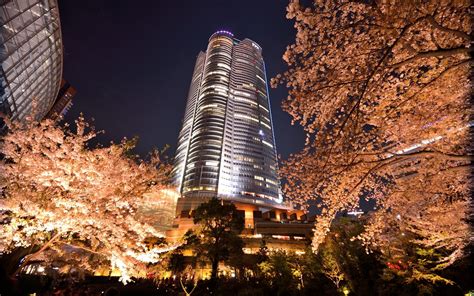 Roppongi | Tokyo Trip Guide