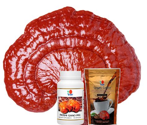 DXN - DXN Ganoderma lucidum products | Ganoderma, Ganoderma lucidum, Micro nutrients