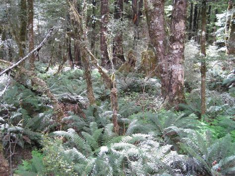 Nelson Lakes: Crossing Moss Pass - Joe’s Diner