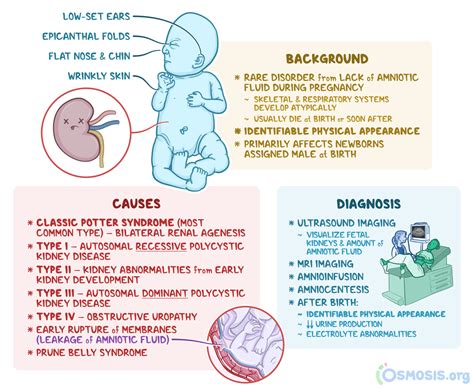 Potter Syndrome: What Is It, Causes, Treatment, and More | Osmosis