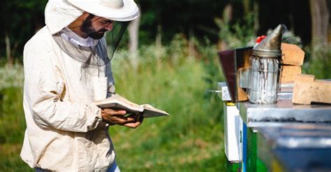 The 20 Best Beekeeping Books of 2024 - SWF Bees