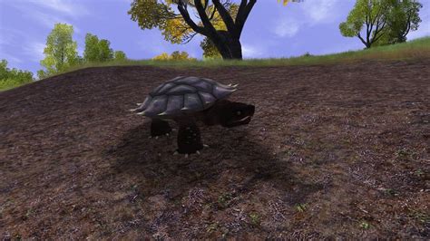 Snap turtle | MMO Naturalist Wiki | Fandom