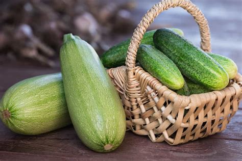 Zucchini vs. Cucumber: What's the Difference? - Minneopa Orchards