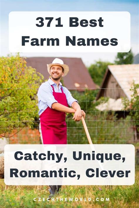 1079 Best Farm Names - Catchy, Unique, Romantic, Clever