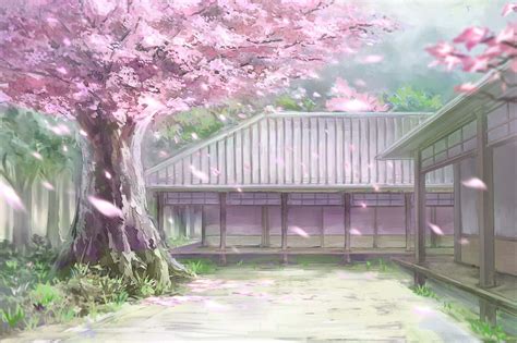 Anime Cherry Blossom Tree Background