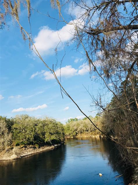 Suwannee River State Park | The Dyrt