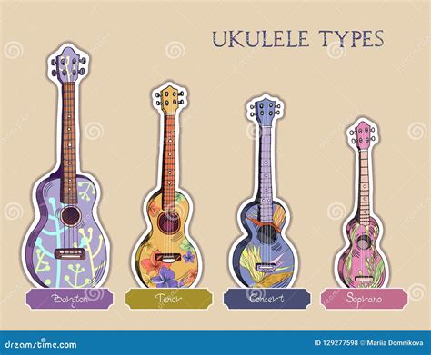 Ukulele types stock vector. Illustration of isolated - 129277598