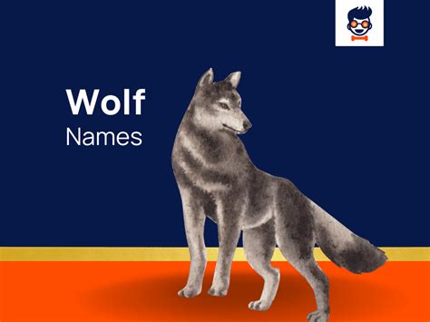 473+ Cool Wolf Names and Their Powerful Meanings (2024)