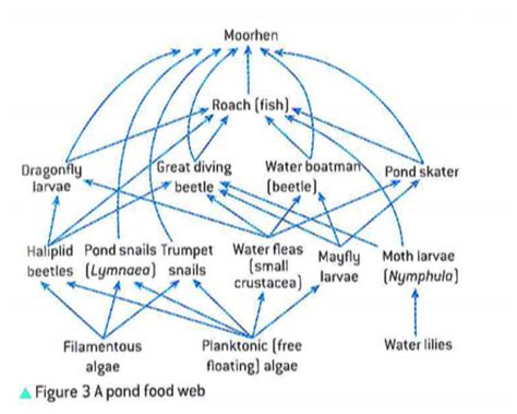 C2. Communities & Ecosystems - BIOLOGY PORTFOLIO