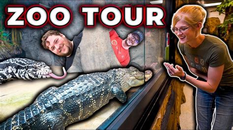 Snake Discovery Zoo Tour | I Snuck Into @SnakeDiscovery To Show You ...