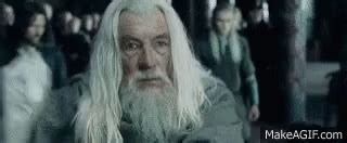 Gandalf The White GIFs | Tenor