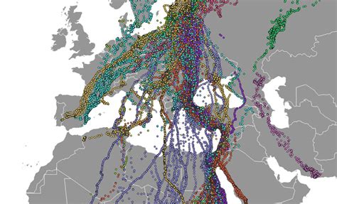 An interactive map of migrating birds - Benjamin Becquet