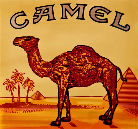 Camel Cigarette Maker Bans Workers From Smoking : Franchise News ...