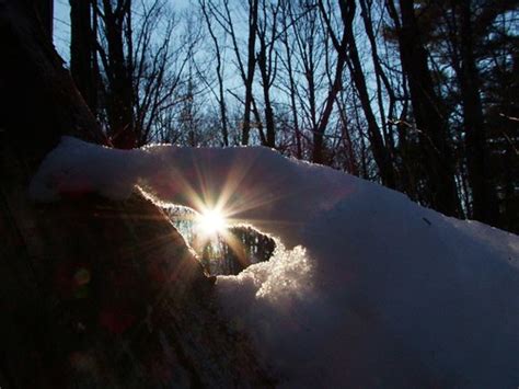 Sunlight Through Snowfall | New Hampshire Photo Tour