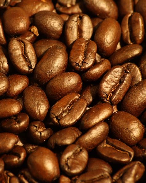 File:Dark roasted espresso blend coffee beans 2.jpg - Wikipedia