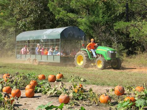 Kids Hayride