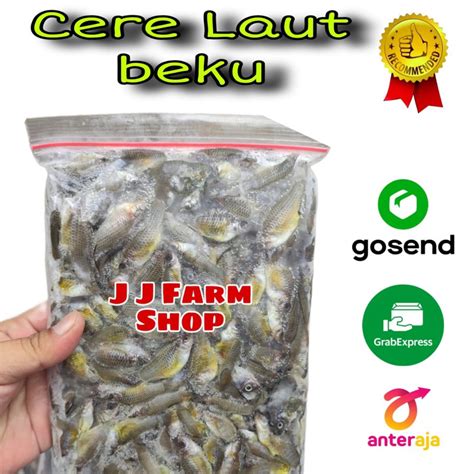 Jual IKAN CERE LAUT BEKU / CERE BEKU FRESH 500gram makanan pakan ikan ...