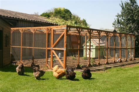 Feathers free range fox proof poultry compound | Chicken coop, Chickens backyard, Diy chicken coop