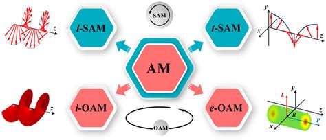 Frontiers | Interaction of spin-orbit angular momentum in the tight ...