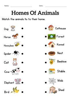 Animals and their homes worksheets for grade 1 2 3 - homes of animals ...