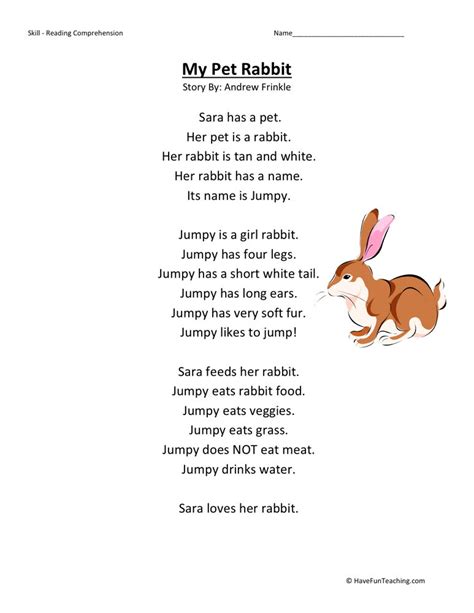 Reading Comprehension Worksheet - My Pet Rabbit