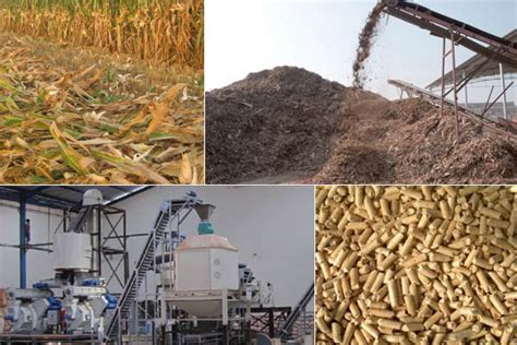 Biomass pellet plant promotes the transition to low carbon economic