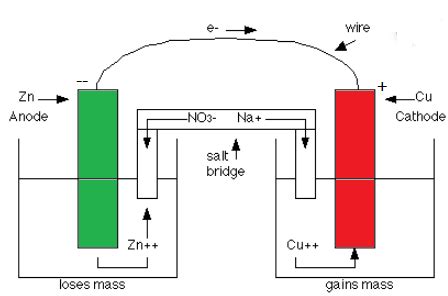 Why is the sign for cathode positive and the anode is negative in the galvanic cell? | Homework ...