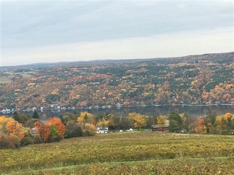 Bully Hill Vineyards Winery (Hammondsport) - 2020 All You Need to Know BEFORE You Go (with ...