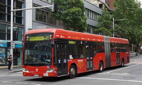 Sydney Buses - australia.SHOWBUS.com BUS IMAGE GALLERY