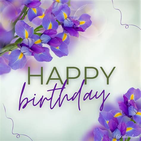 Purple Flowers Birthday Images | Best Flower Site