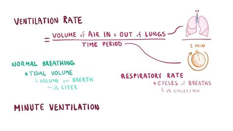 How To Calculate Pulmonary Ventilation Rate - Image to u