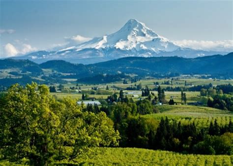 15 Great And Fun Facts About King City, Oregon, United States - Tons Of ...