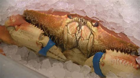 Alaska snow crab season canceled for first time | wltx.com