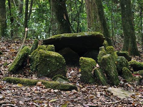 Mawphlang Sacred Forest - in Meghalaya, India Sacred Groves, Eagle In ...