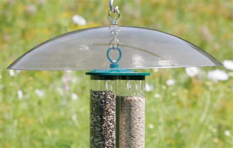 Top 10 Best Squirrel Baffles for 2024 Reviews | OrBirds