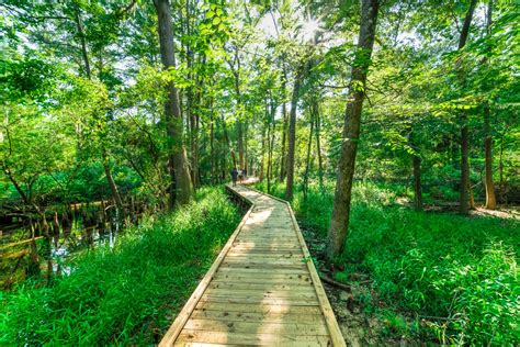 Hiking in Houston: 15 Best Trails In + Near Houston