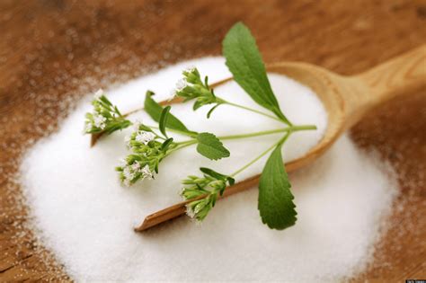 11 All-Natural Sweeteners You Can Grow In Your Backyard - Off The Grid News