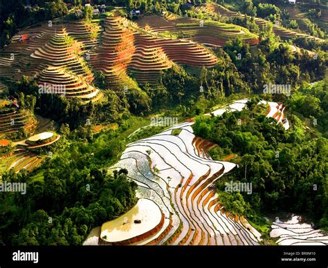 Ha Giang rice terraces, Ha Giang Province, Vietnam Stock Photo: 31538780 - Alamy