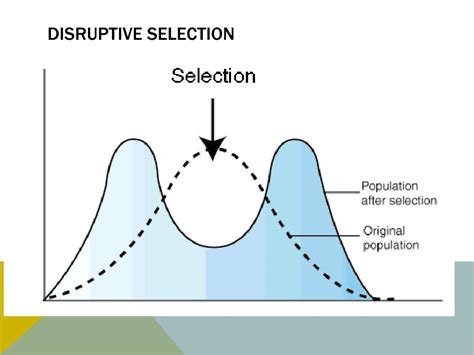 How To Draw A Disruptive Graph