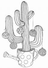 Cactus And Succulent Coloring Pages sketch template
